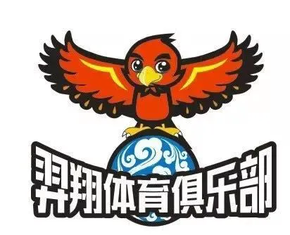 如何借助专业篮球教练提升个人声誉_2
